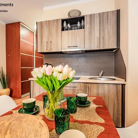 公寓 Baltic - Regina Maris 斯维诺乌伊希切